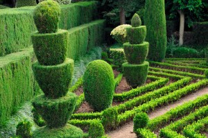 Darf man den eigenen Garten komplett so gestalten wie man möchte?