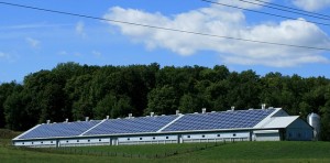 Das Bio-Solar-Haus als biologisches Passivhaus